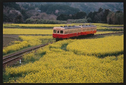 いすみ鉄道２.jpg